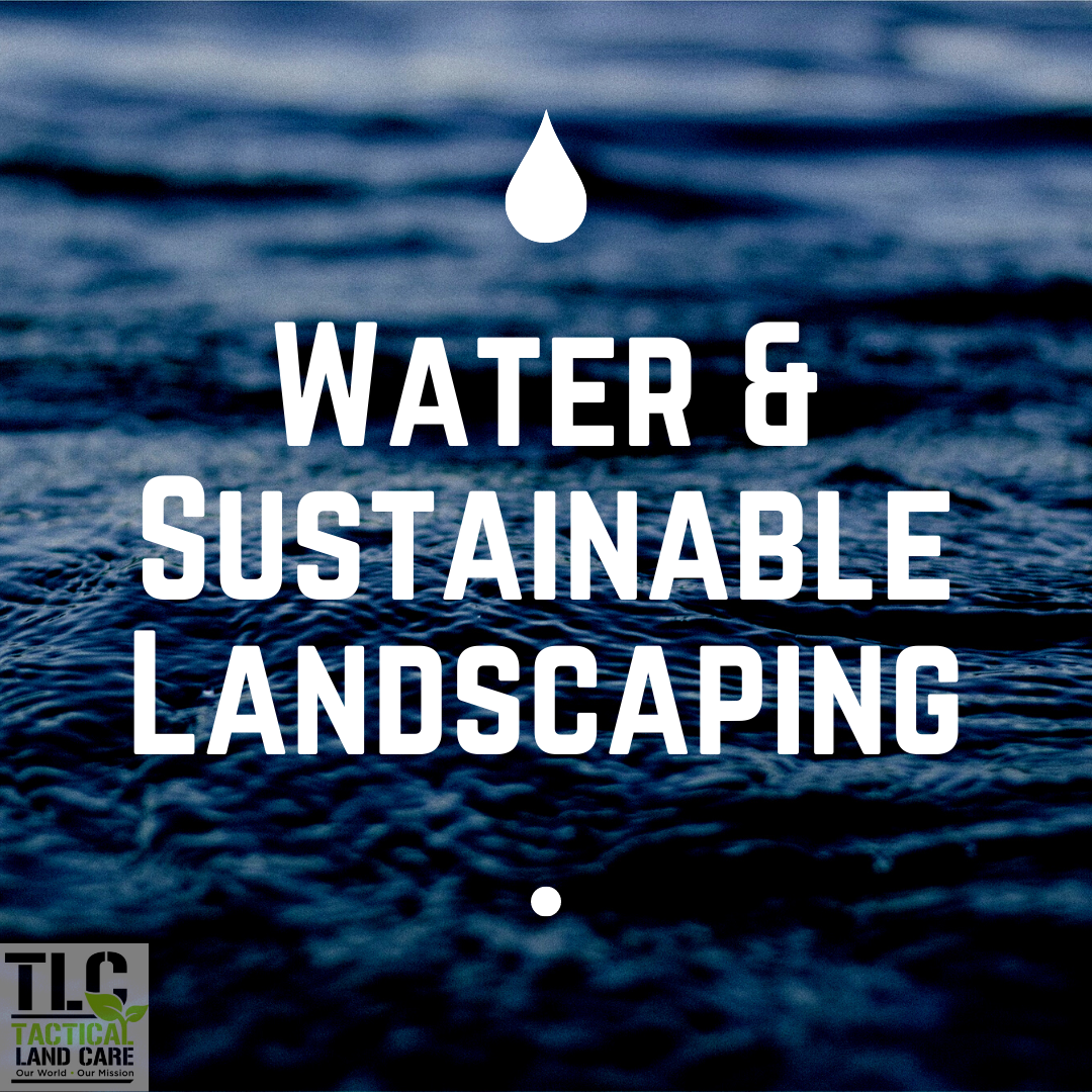 Water & Sustainable Landscaping